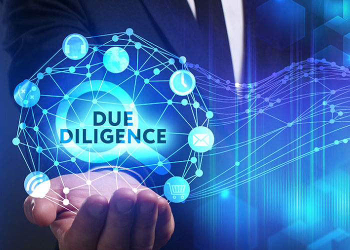 Image of an Environmental Due Diligence Icon